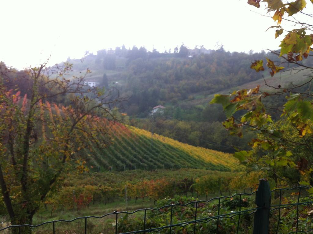 Agriturismo Costa Dei Platani Аккуї-Терме Екстер'єр фото