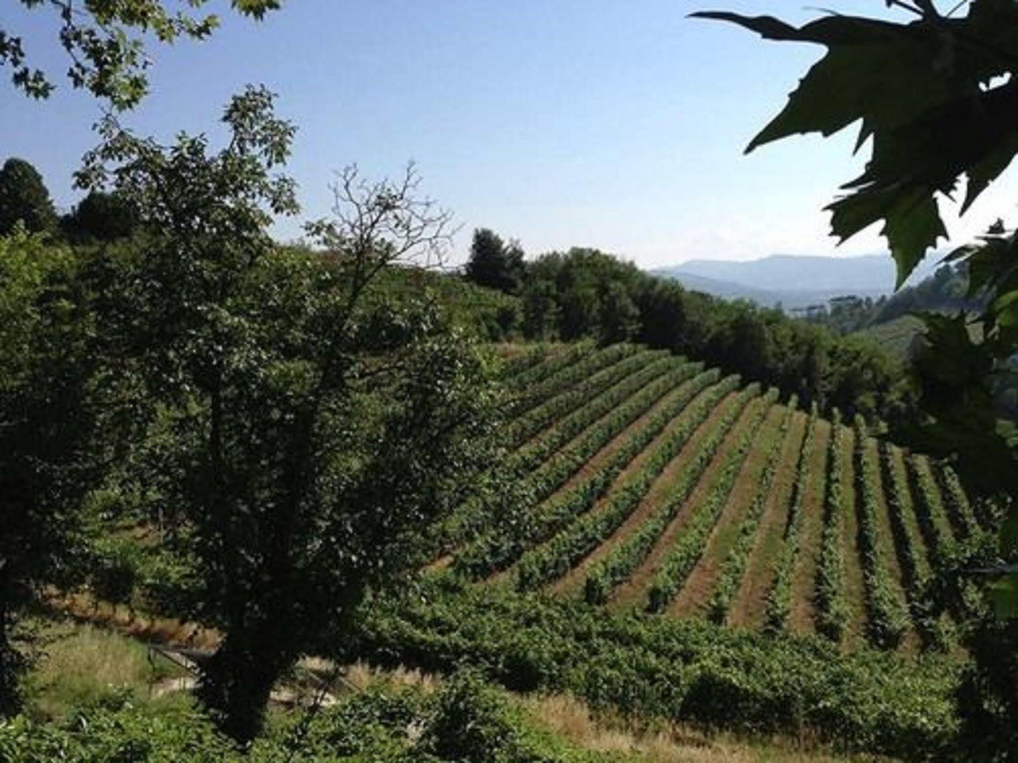 Agriturismo Costa Dei Platani Аккуї-Терме Екстер'єр фото