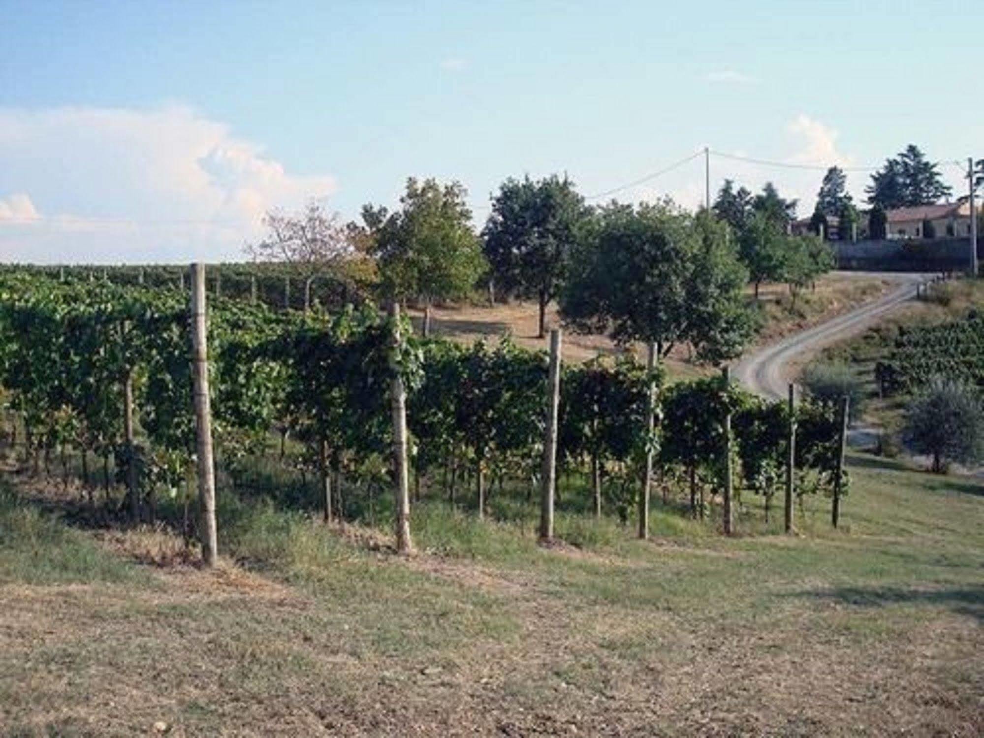 Agriturismo Costa Dei Platani Аккуї-Терме Екстер'єр фото